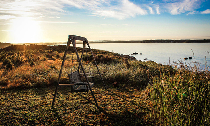 在线呼叫网页版软件