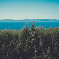 秋思短信轰炸平台