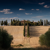 在线呼叫网页版软件